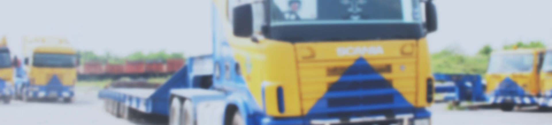 &nbsp;